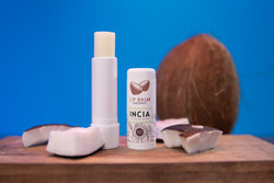 Nourishing Coconut Lip Moisturizer – Lip Balm 6g